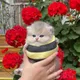 Дарья