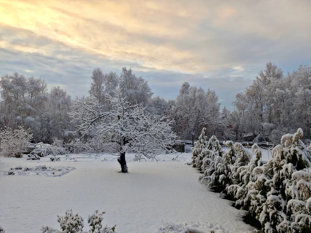 Коттедж Загородный дом с видом на лес — Ситники