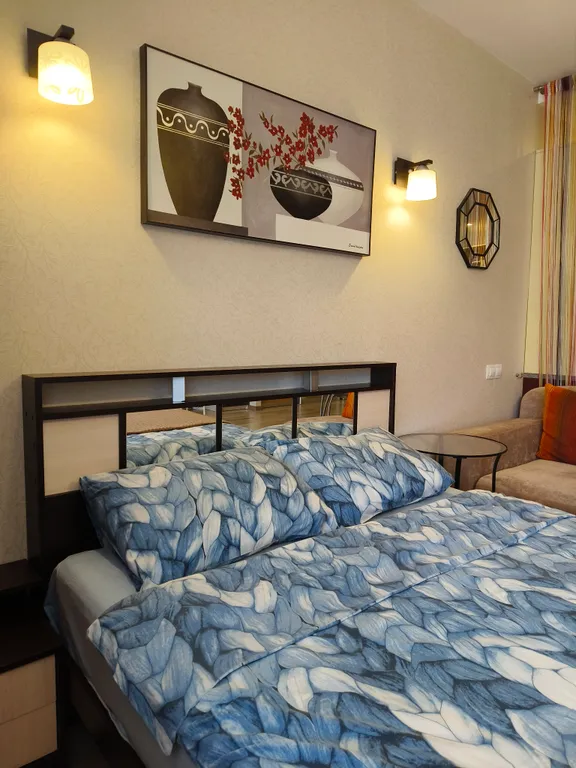 Однокомнатная квартира у Онежского озера