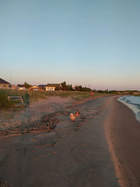 Дом с видом на Чудское озеро