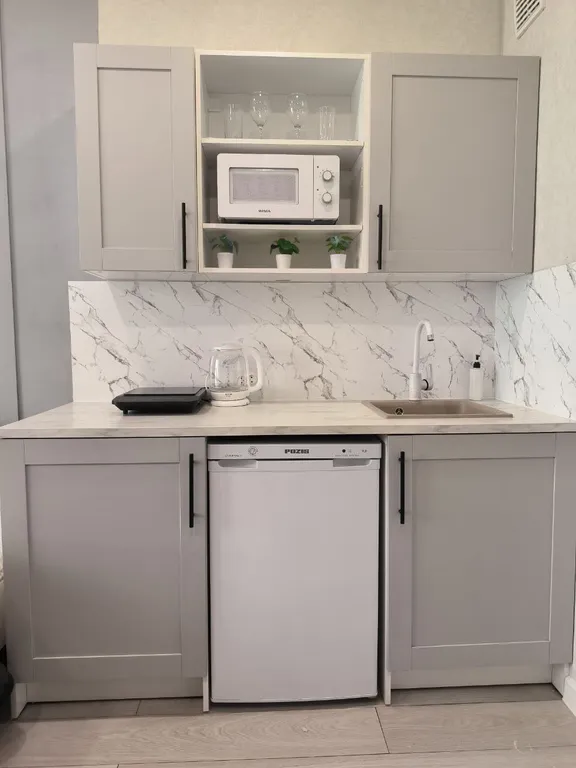 Квартира Уютная светлая студия для двоих — Новосибирск