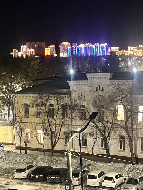 Большая квартира рядом стадион Амур