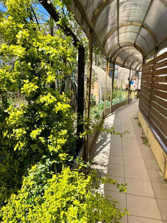 Коттедж в центре Красной Поляны с видом на горы