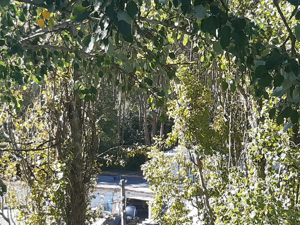 Уютная однокомнатная квартира