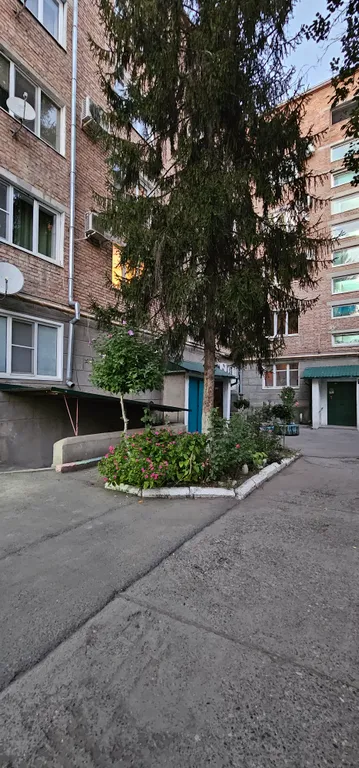 Апартамент Подсолнухи