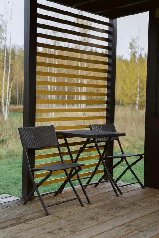 Папоротник