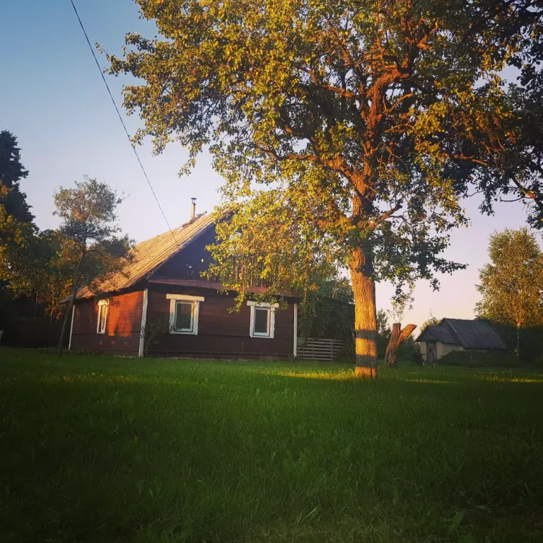 Уютный домик в Беловежской пуще, для тех, кто ценит тишину