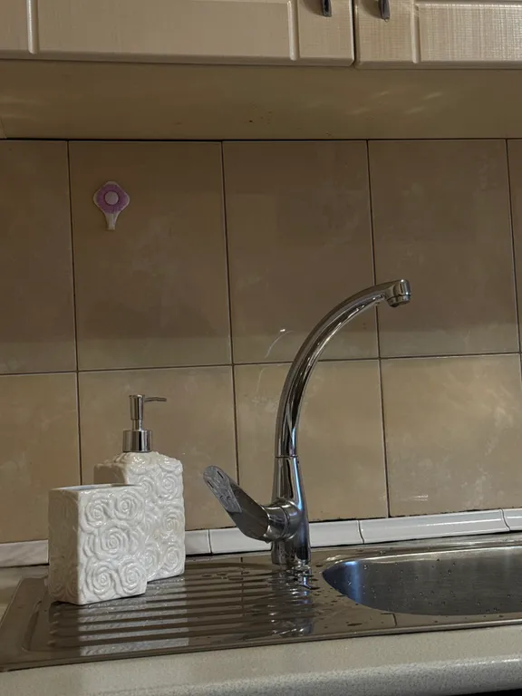 Четырёхместные апартаменты + pets friendly