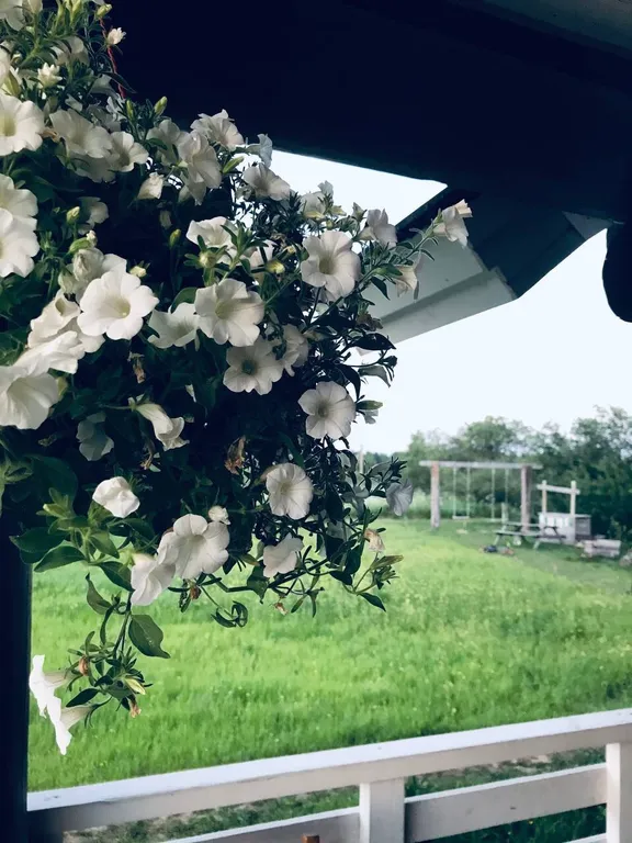 Уютный семейный дом у озера