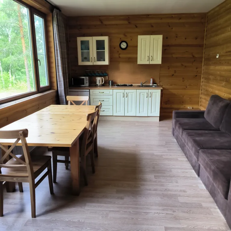 Дом на берегу озера с панорамным видом на лес