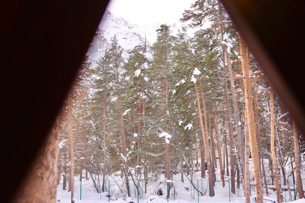 Шале с мангалом