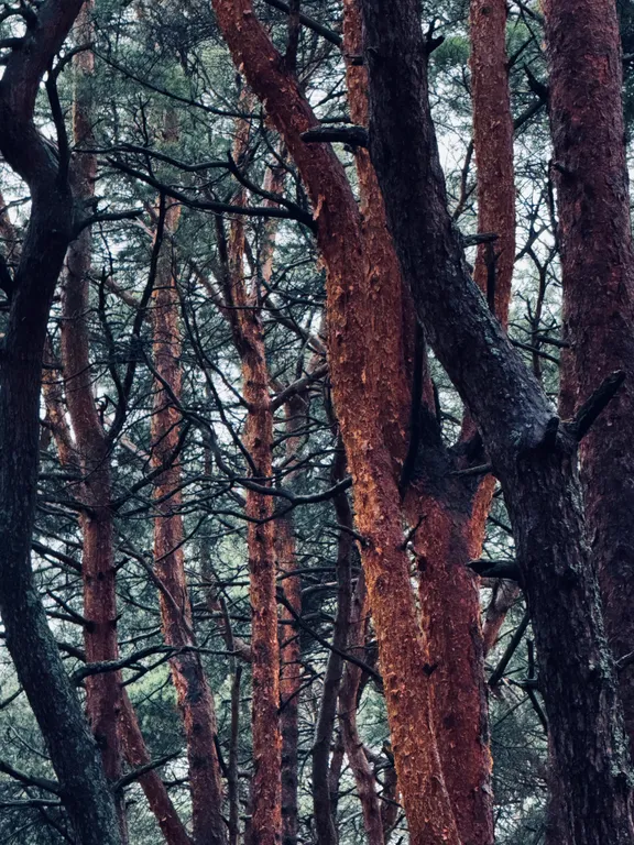 Апартаменты «Дом, где шепчет море»