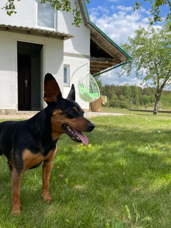 Коттедж Дом-баня у озера оконо (15 км от г. Лепель) — аренда посуточно в Лепель