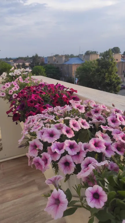 Двухкомнатные апартаменты в самом центре