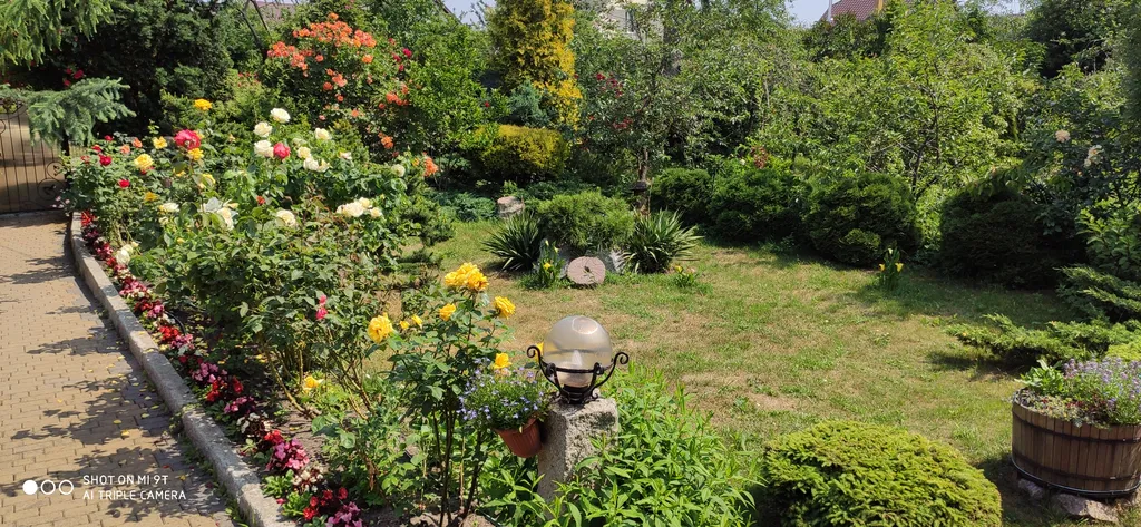 Дачная студия