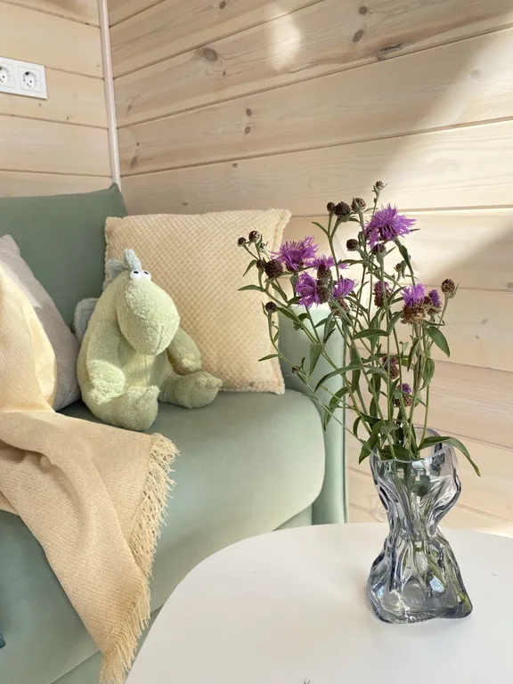 Солнечный дом с чил-зоной наверху