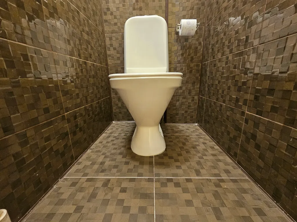 Просторная однокомнатная квартира