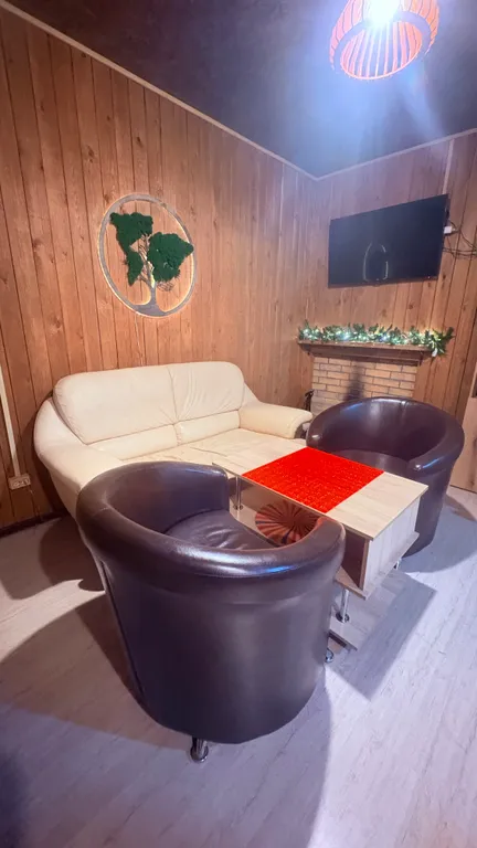 Дом с баней у леса