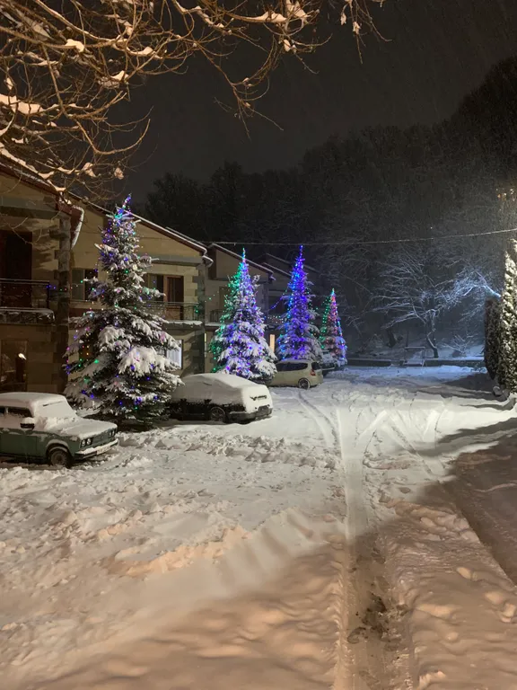 Tsaghkadzor Family Villa