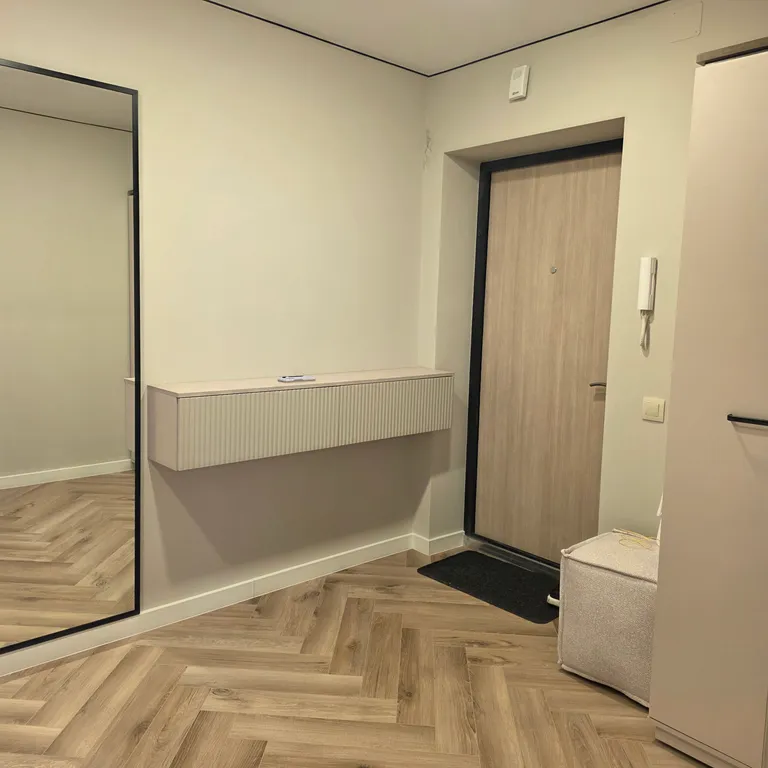 Просторные апартаменты, самый центр, пешеходная улица Советская