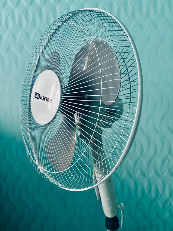 В гостях у Алисы