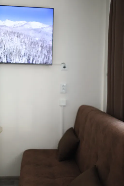 Уютная студия с видом на реку Иртыш