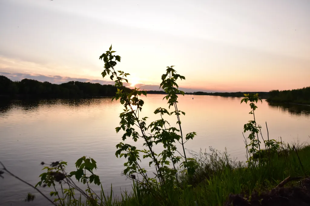 Коттедж Дом-шале Подсолнухи — Луховицы