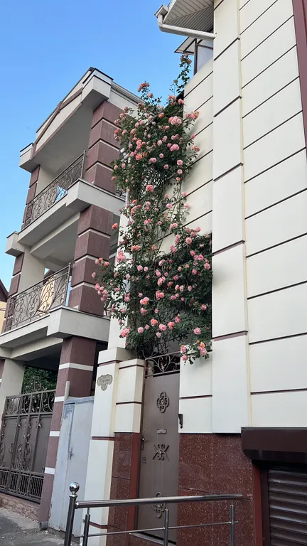 Квартира Квартира Комфортное место в самом центре города, 5 минут до центрального пляжа — Анапа