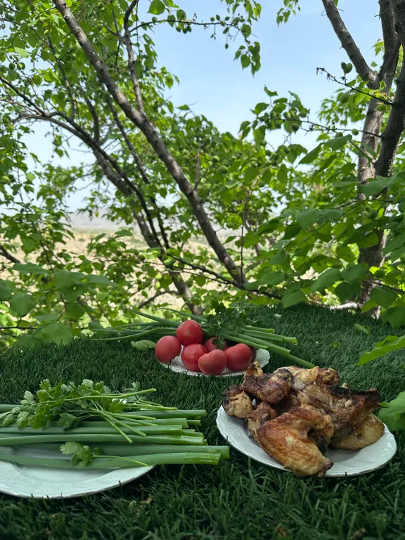 Коттедж Уютный домик с большим огородом у Сулакского каньона — Миатли