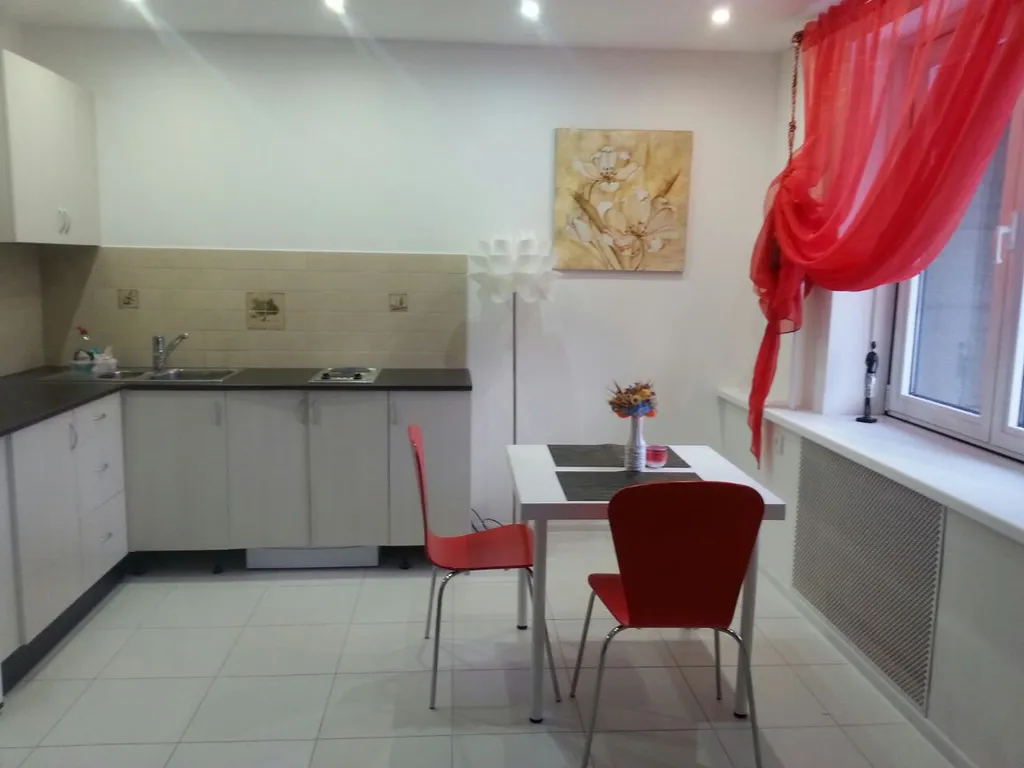 Квартира Уютные апартаменты в центре с видом на парк и реку — аренда посуточно в Петрозаводск