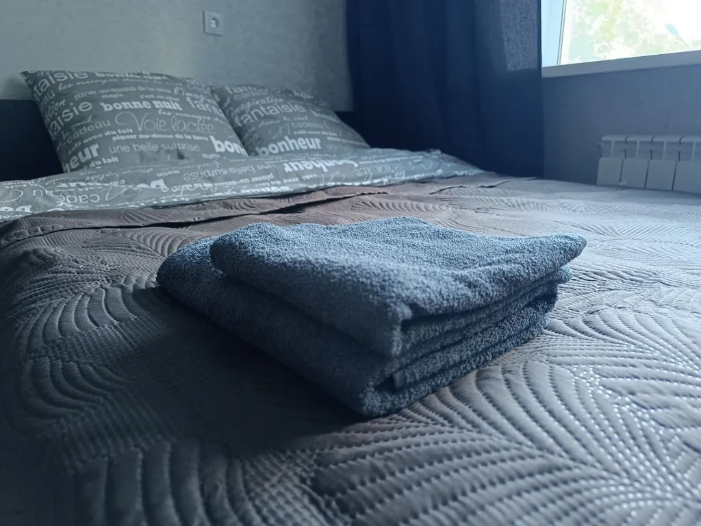 Уютная квартира в центре города — аренда посуточно в Нижний Новгород