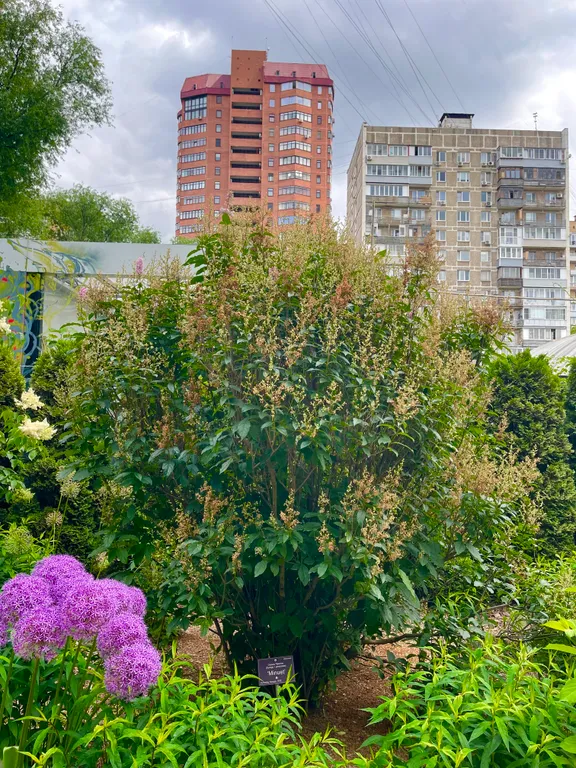 Квартира Светлая квартира у метро Проспект Мира, у Склифа — Москва