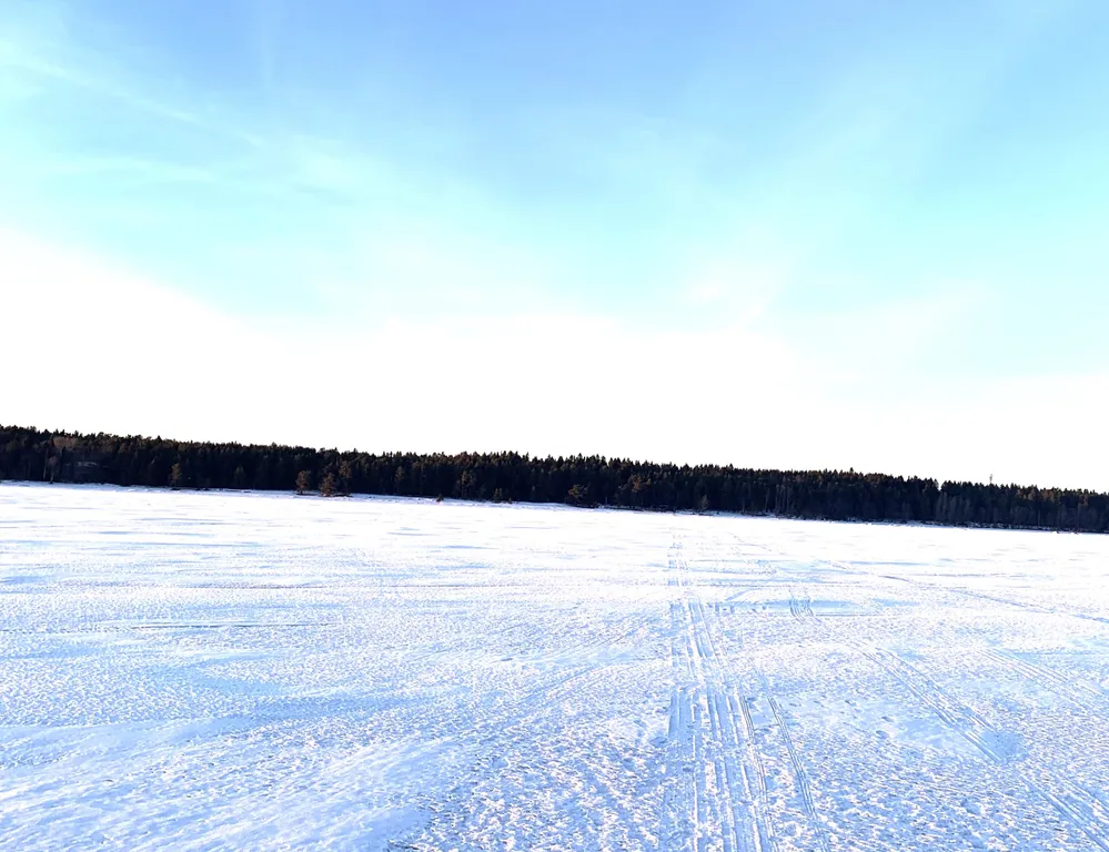 Коттедж Академическая дача (коттедж) у Финского залива, Зеленогорск-Смолячково — Санкт-Петербург
