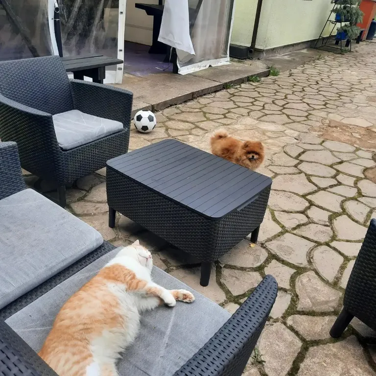 3-комнатный домик на усадьбе Радюши