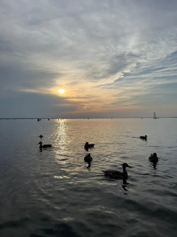 Дом улучшенный