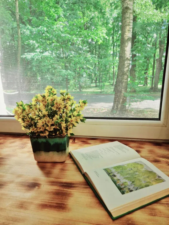 Квартира Оливия — аренда посуточно в Старая Русса