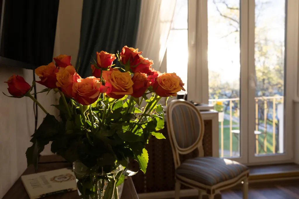 Северная Венеция