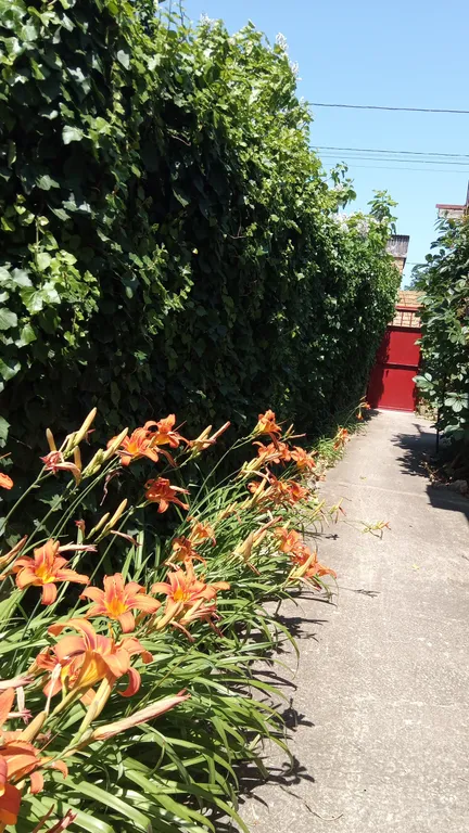 Квартира Квартира Комфорт 4-х местный — Новоотрадное