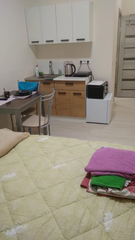 Уютная студия в самом центре