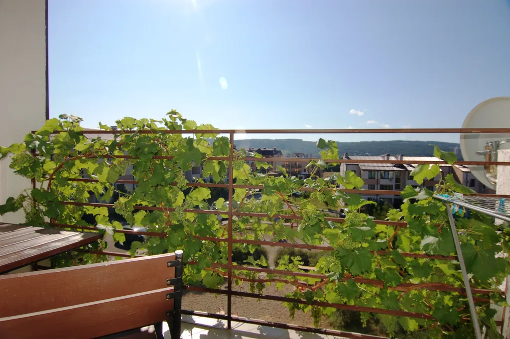 Квартира с видом на Дивноморск