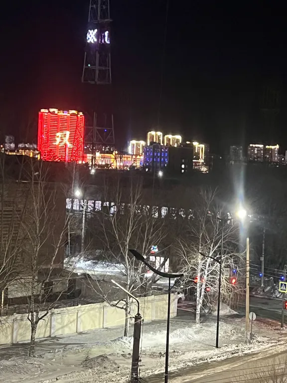 Большая квартира рядом стадион Амур