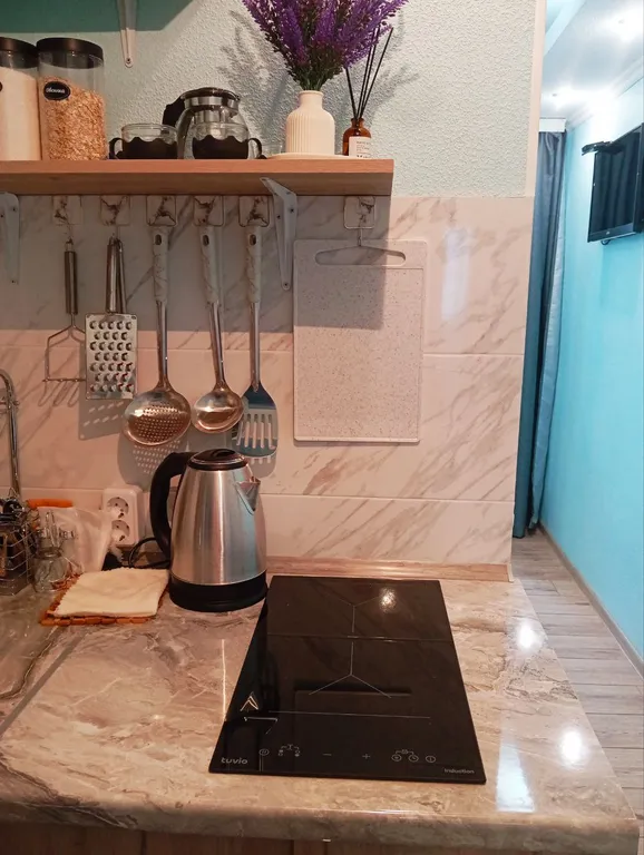 Студия с видом на гору Машук