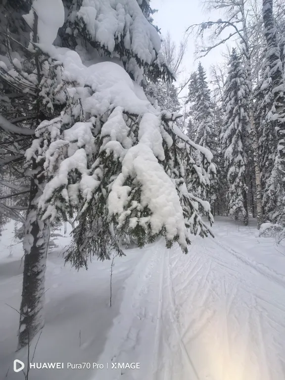 Квартира с видом на Онежское озеро