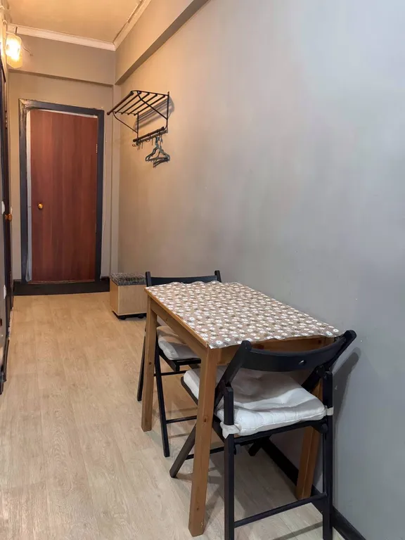 Центр города! Скромная студия на двоих для неприхотливых