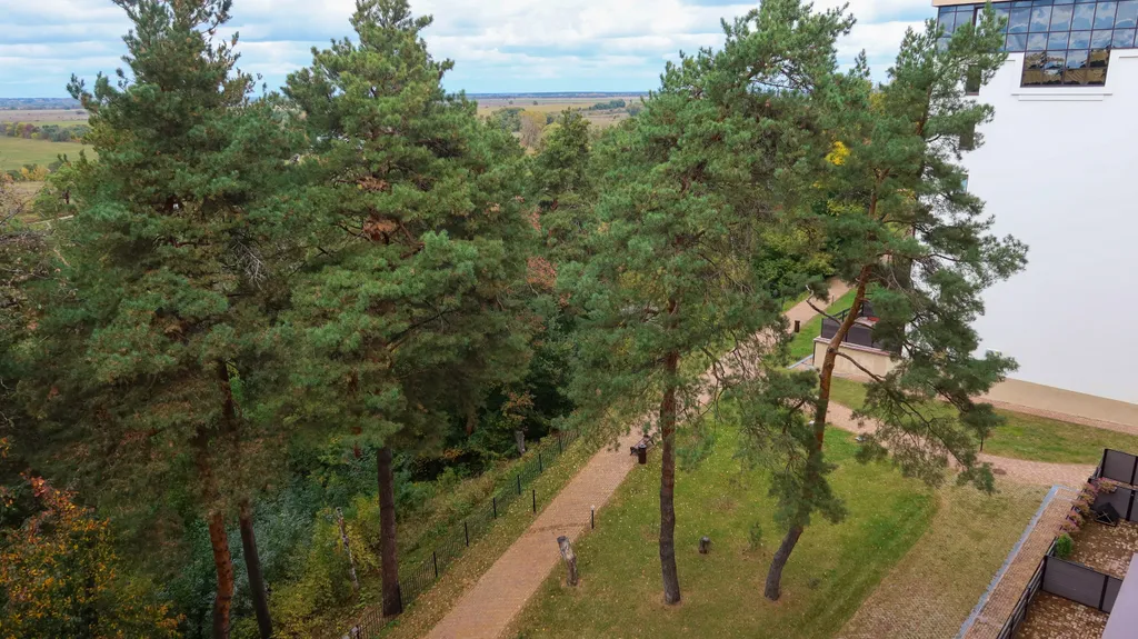 Видовая квартира в сосновом лесу