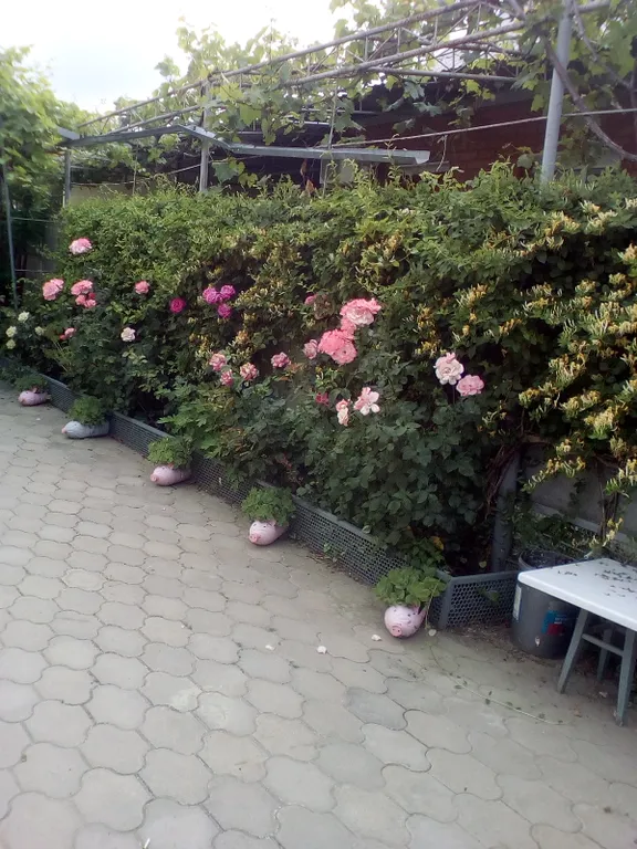 Уютная комната рядом с морем