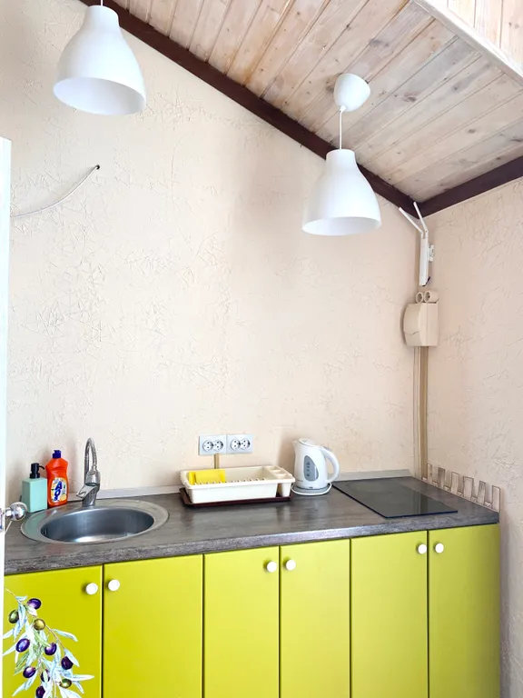 mansard room апартаменты с кухней