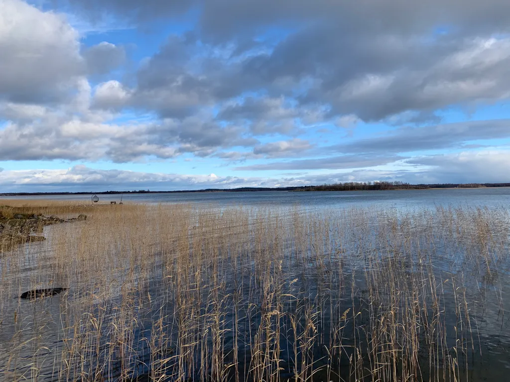 Коттедж Дачный дом на берегу озера — аренда посуточно в Медвежьегорск