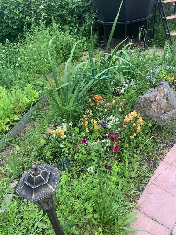 Коттедж в центре с баней и банным чаном