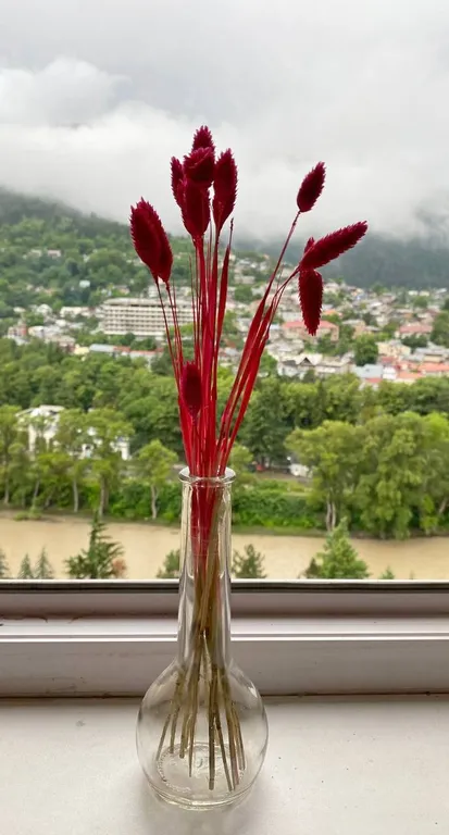 Боржоми с высоты полёта! - Уютная квартира в самом центре